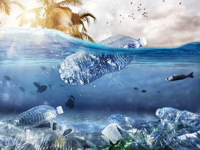 ۳۰ نکته برای کمک به اقیانوس ها